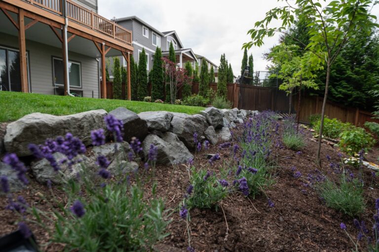 When to Plant Trees in the Pacific Northwest
