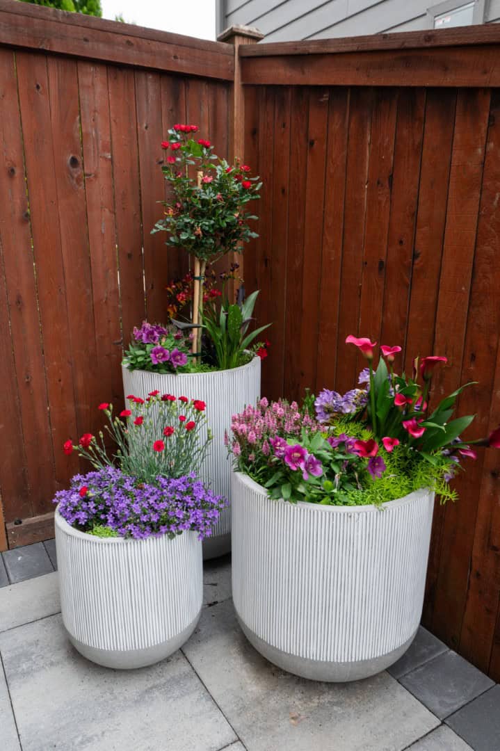 Bee-Friendly Plants: Attracting Pollinators to Your Garden